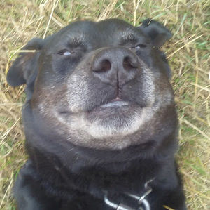 Meet your Posher, Jackie